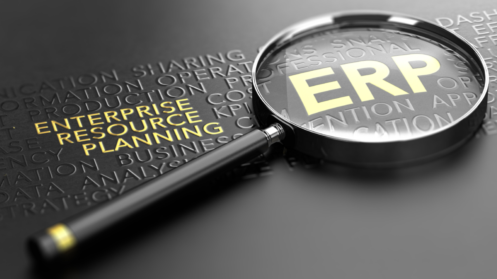 blog-erp